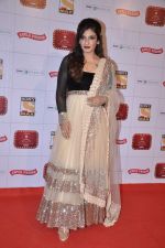 Raveena Tandon at Stardust Awards 2013 red carpet in Mumbai on 26th jan 2013 (439).JPG